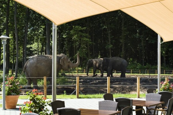 Szum&aacute;tra &Eacute;tterem a Ny&iacute;regyh&aacute;zi &Aacute;llatpark Z&ouml;ld Piramis &eacute;p&uuml;let&eacute;ben!